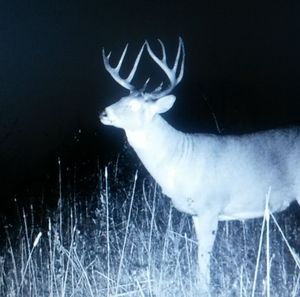 Meet your Posher, Colin